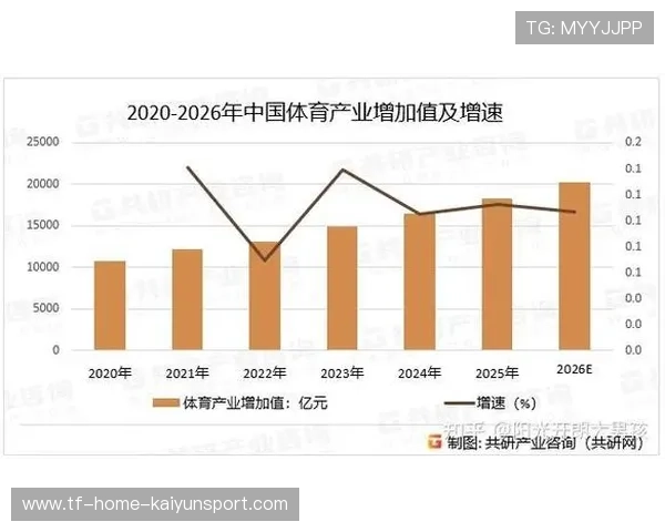 篮球运动在中国高端体育消费市场中的潜力，篮球在体育产业市场中的价值