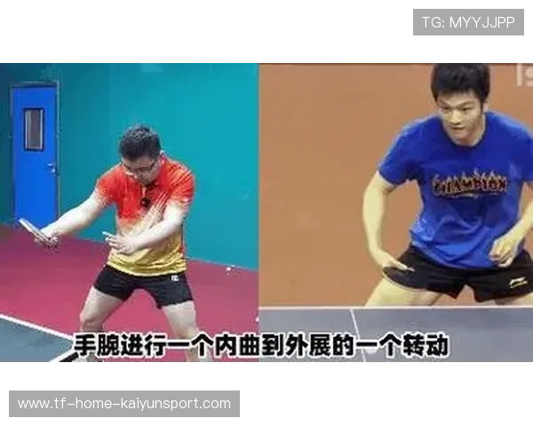 状态复苏!尹航盛赞樊振东反手球技艺,樊振东反手发力技巧